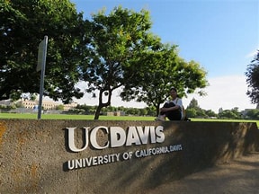 福州留学：逆袭加州大学戴维斯分校的独家秘籍