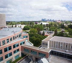 福州留学生必看：卡尔加里大学申请难度解析，哪些专业连本地生都难进？